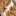 Golden_bites_kn Golden_bites_kn