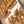 Golden_bites_kn