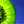 kiwi985