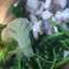 resep simpel