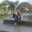 Widy Lestariningrum