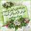 hosna abdelghany