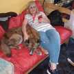 amarillasilvia723@gmail.com
