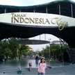 umi dan salwa