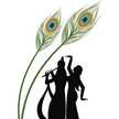 Krishna Swamy M B