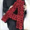  Awash_Alqasumi
