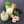 c_biendansmonassiette