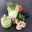 c_biendansmonassiette