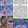 🍴🇩🇿Cuisine_Oum_Marwa Dz🇩🇿🍴