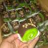 Ni'ma Taltha Muhida