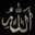 بك استجير