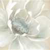 Ameera