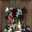 Oshin Decoration