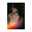 Feer Romero