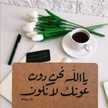 رضى الله مطلبي 💜ام كنان