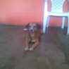 Serly J Macías Quintero
