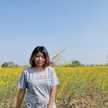 Suda Phian