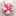 Jajanan_tasty Jajanan_tasty