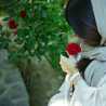 Sahel