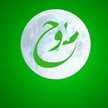 نوح الغزالى