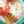 Elsy 