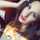 Ludii_stories Ludii_stories