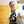 Robinson Javier Fermin Robinson Javier Fermin