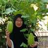 Annis Susanti Annis Susanti