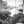 Primative_87