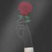 Thorn 