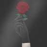 Thorn 