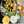 Radhi_kitchen