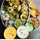 Radhi_kitchen