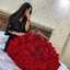 _widy_kh