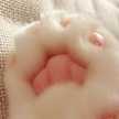 Hana Chan