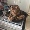 meenanuch