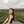 Teen_srwl