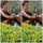 sahar-66%40hotmail.com sahar-66%40hotmail.com