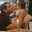 Noelia Ghiglione Noelia Ghiglione