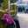 Afifah