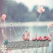 Ummu Fatih