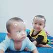Febry Eka Sholina Paramita