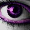 Entusiasmo Violeta