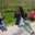 Jessica Fuentes Jessica Fuentes