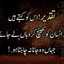 Hania Memon