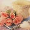 Ummu Qina