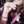 Aalia Hassan