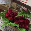 ديانا السعدي