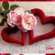 Mony moustafa