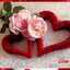 Mony moustafa